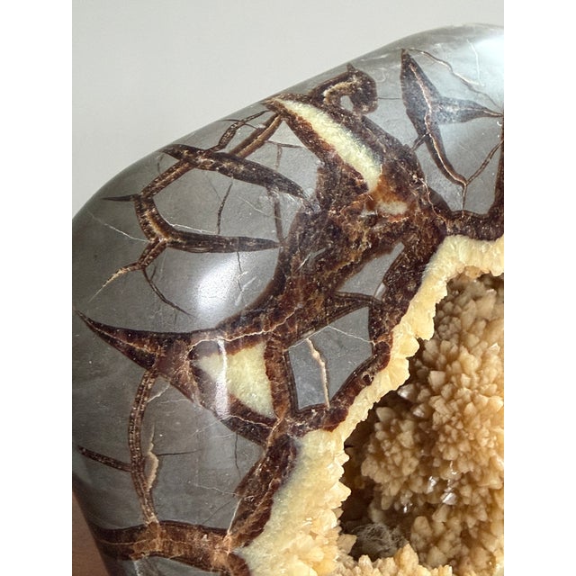 Utah Septarian Nodule Hollow Large Buffalo Carved stone buffalo with natural crystal formations. A masculine, rugged...