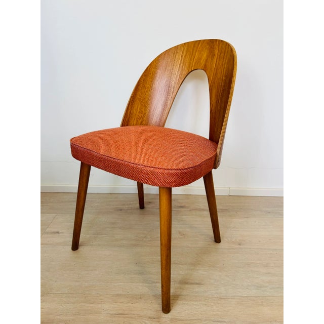 Dining Chair by Antonín Šuman, Czechoslovakia, 1960s, in Restored conditions. Designed 1950 to 1959 I have official proof...