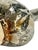 Vintage Partially Silvered Conch Shell in the Style of Bucellati For Sale - Image 15 of 15