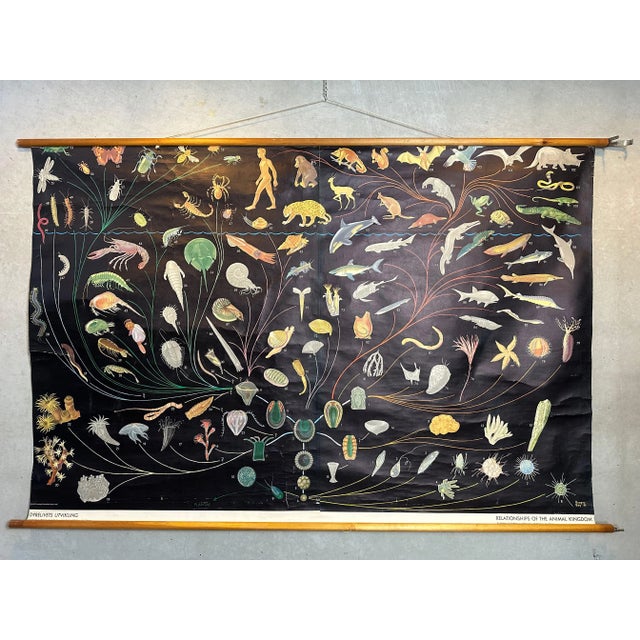 Vintage Linen School Chart, 1930s For Sale - Image 16 of 16