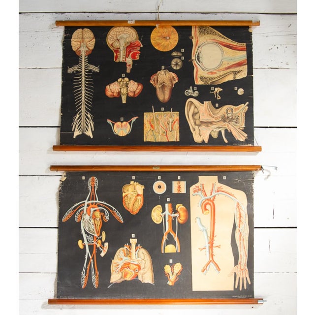 These posters, printed by Vallardi Editore, were distributed mounted on wooden sticks by Merckelbach & Co. of Amsterdam....