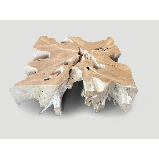 Andrianna Shamaris Organic Bleached Teak Wood Coffee Table For Sale In New York - Image 6 of 18