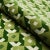 2020s Schumacher x Johnson Hartig Dazzle Ship Velvet Fabric in Verdant For Sale - Image 5 of 6