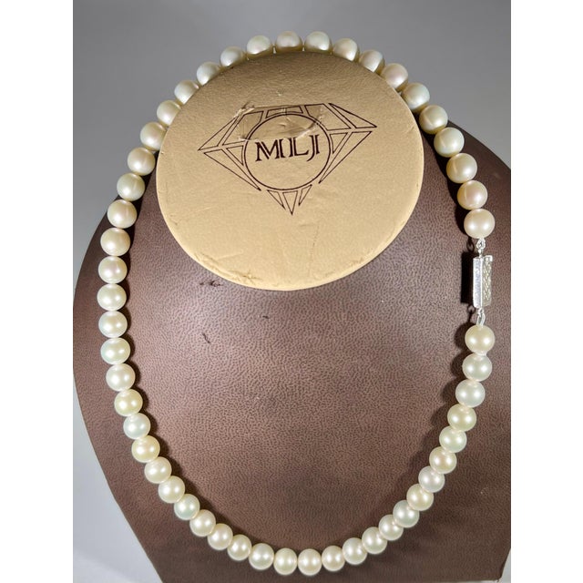 51 Round White Fresh Water Pearls Strand Necklace Set in Silver Clasp For Sale - Image 11 of 18