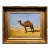 Leon Auguste Adolphe Belly-Dromedary in the Desert -19th C. Orientalist Oil Painting For Sale