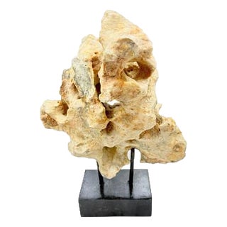 Indonesian Coral Stone On Teak Stand For Sale