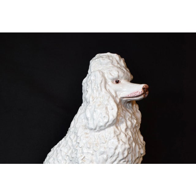 1960s Vintage Regency White Glazed Ceramic Sitting Poodle, Italy 1960's For Sale - Image 5 of 17