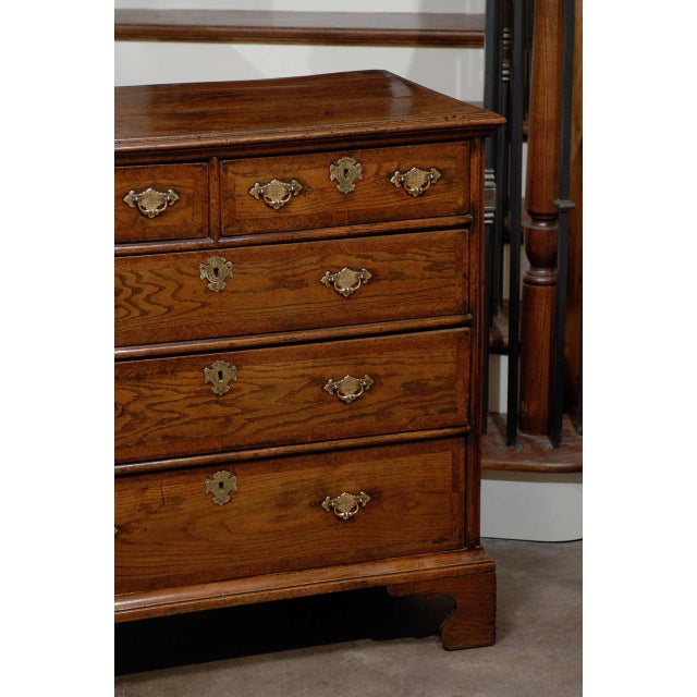 Early 19th Century English 1820s Regency Oak Five-Drawer Commode with Crossbanding and Bracket Feetv For Sale - Image 5 of 10