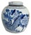 Chinoiserie Blue &White Porcelain Dragon Ginger Jar 12" H For Sale