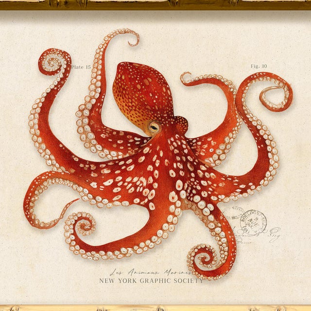 Contemporary Contemporary Reproduction of Vintage "Red Octopus" Giclee Print, Framed For Sale - Image 3 of 4