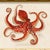 Contemporary Contemporary Reproduction of Vintage "Red Octopus" Giclee Print, Framed For Sale - Image 3 of 4
