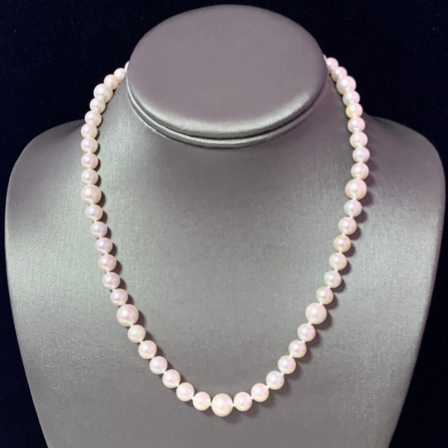 Akoya Pearl Necklace 14k Gold Certified For Sale - Image 13 of 14