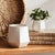 Early 21st Century Apex Pots, Set Of 2 For Sale - Image 5 of 5