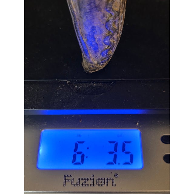 Antique African Nobility Ceremonial Dogon Bronze Horse W/ Covered Container 12"h For Sale - Image 16 of 16