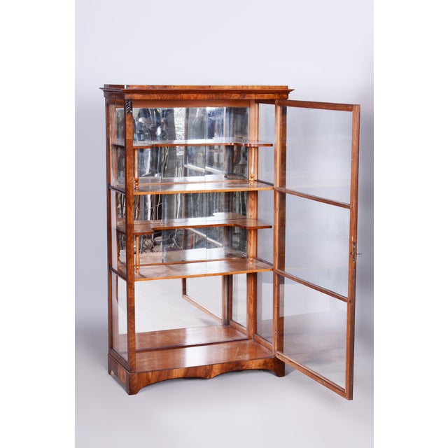 Biedermeier Display Cabinet in Walnut, 1830s For Sale - Image 12 of 18