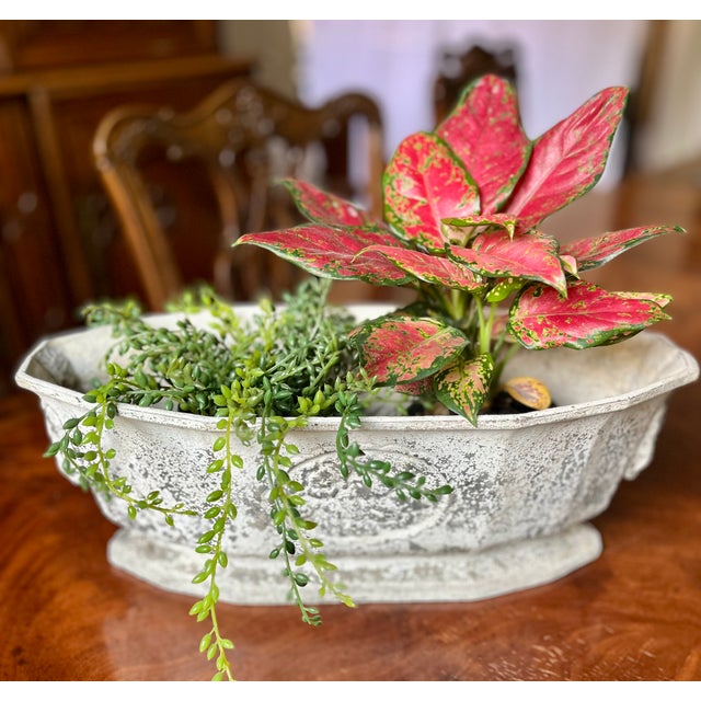 Traditional Late 1800s Belgian Painted Cast Iron Footed Planter For Sale - Image 3 of 15