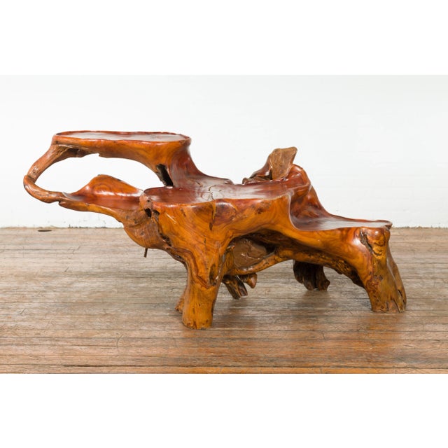 An Indonesian lacquered root stand from the 20th century drilled to work as a fountain. Created in Indonesia during the...