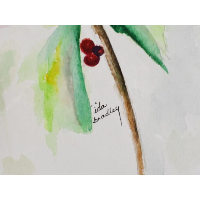 Vintage Watercolor Tropical Parrot Painting by Ida Bradley For Sale - Image 4 of 7