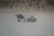 Late 19th Century Antique Thatched Cottage Country Farmhouse Panoramic Landscape Etching 28" For Sale - Image 5 of 11