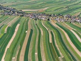 Example of Photography