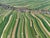 "Stripes_of_Suloszowa_006" Contemporary Aerial View Limited Edition Photograph by Bernhard Lang For Sale