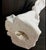 Pair of Draped Plaster Lamps, Style of John Dickinson For Sale - Image 10 of 11