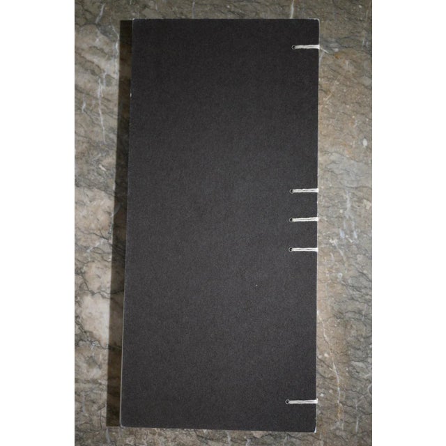 Rare signed first edition of Live Dog / Evil God by acclaimed Native American artist Fritz Scholder (1937–2005). This...