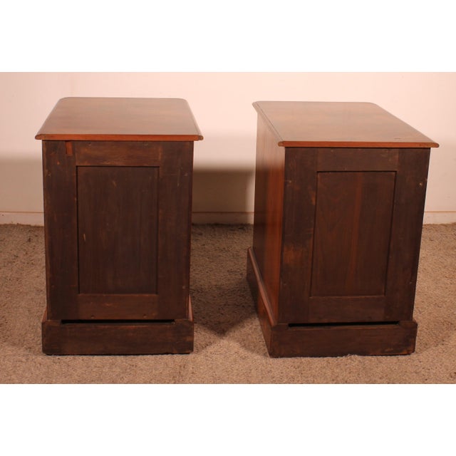 Wood 19th Century Walnut and Burl Walnut Bedside Tables, Set of 2 For Sale - Image 7 of 13
