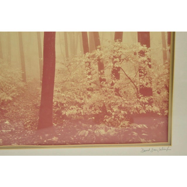 Glass Vintage David Lorenz Winston "Seven Trees" Landscape Signed Framed Art Print For Sale - Image 7 of 14
