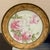 Vintage Royal Munich Porcelain Rose Cabinet Plates – Pair For Sale - Image 9 of 12