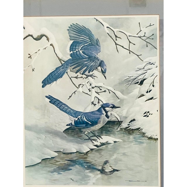 Large Vintage Blue Jay Winter Scene Print For Sale - Image 9 of 14