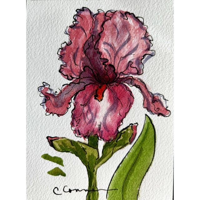 Original watercolor ink and wash painting of a pretty pink iris from my farm. This painting is approximately 4.5 x 6...