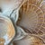French Majolica Oyster Shell Plates from Sarreguemines, 1950s, Set of 6 For Sale - Image 9 of 10