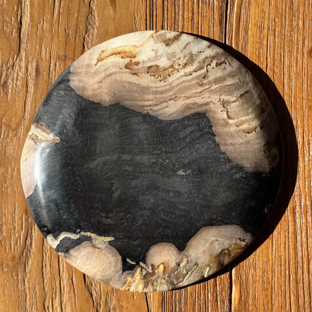 Stone Small Trinket Tray or Dish in Black and Beige Petrified Wood, 1980s For Sale - Image 7 of 11