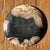Stone Small Trinket Tray or Dish in Black and Beige Petrified Wood, 1980s For Sale - Image 7 of 11