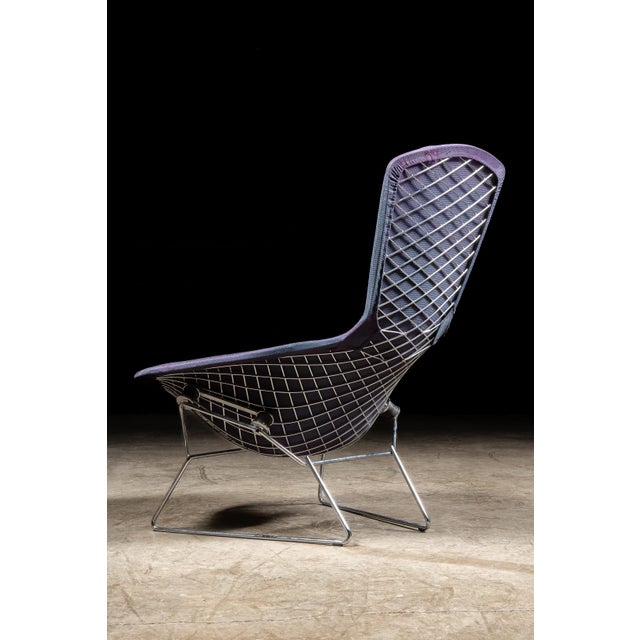 1970s Harry Bertoia Bird Chair for Knoll International For Sale In Chicago - Image 6 of 12