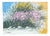 Costanza Mantovani, Broom in Sanremo, 2000s, Oil on Canvas For Sale