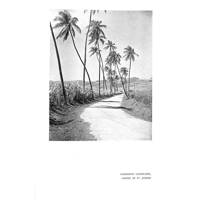 "Men in the Tropics: A Colonial Anthology" 1949 Evans, Harold [Compiled and Edited By] For Sale In New York - Image 6 of 8