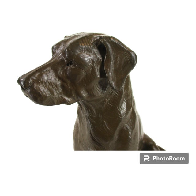 Bronze Dog Statue Labrador Sitting Wooden Bace Artist Signed: Name? & Dated: 1995