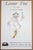 Leonor fini les chats de madame helvetius (the cats of madame helvetius) original poster 1986 very good condition (see...