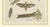 Bertuch, Hawk Moth Life Cycle, 1810, Engravings, Set of 2 For Sale - Image 12 of 14