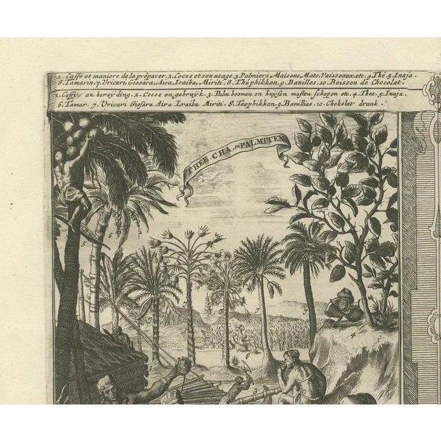 Global Harvests and Crafts: from the East Indies to Chinese Lacquerwork, 1800s, Paper For Sale - Image 11 of 12