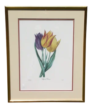 Vintage Framed Limited Edition Redoute Botanical Lithograph Langlois Old Mission Gallery