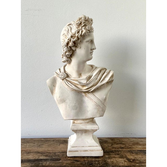 Apollo Woodwoking and Metal Corp Ceramic Apollo Belvedere Bust Sculpture For Sale - Image 4 of 18