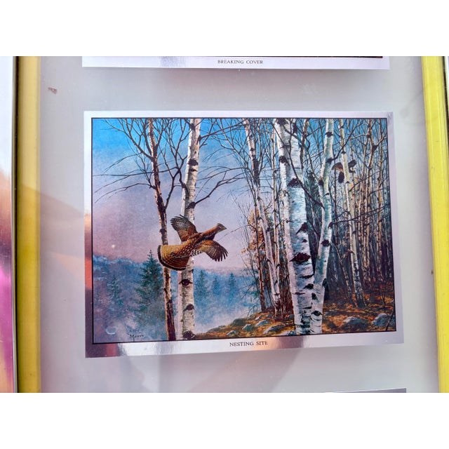Vintage David A. Maass Wilderness Wings Wildlife Foil-Etch Prints, Framed Set of 4 For Sale - Image 11 of 14