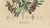 Olive Botanical Print, 1800s, Paper For Sale - Image 5 of 10