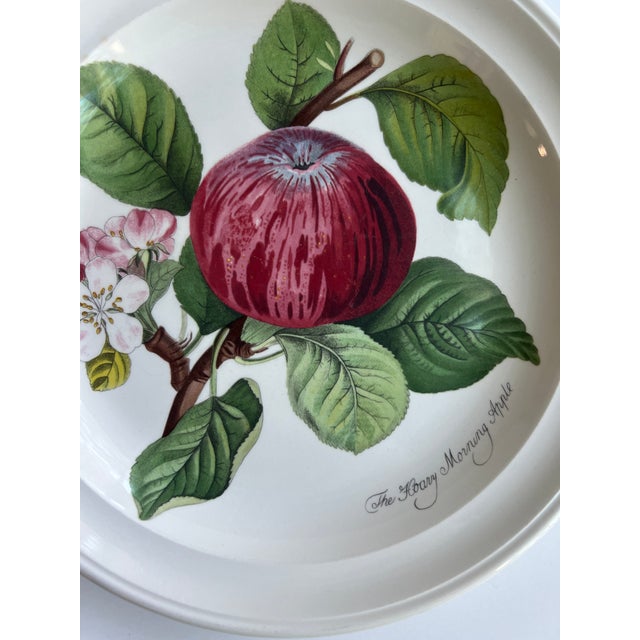 1990s Portmerion Pomona Salad Plates For Sale - Image 5 of 5