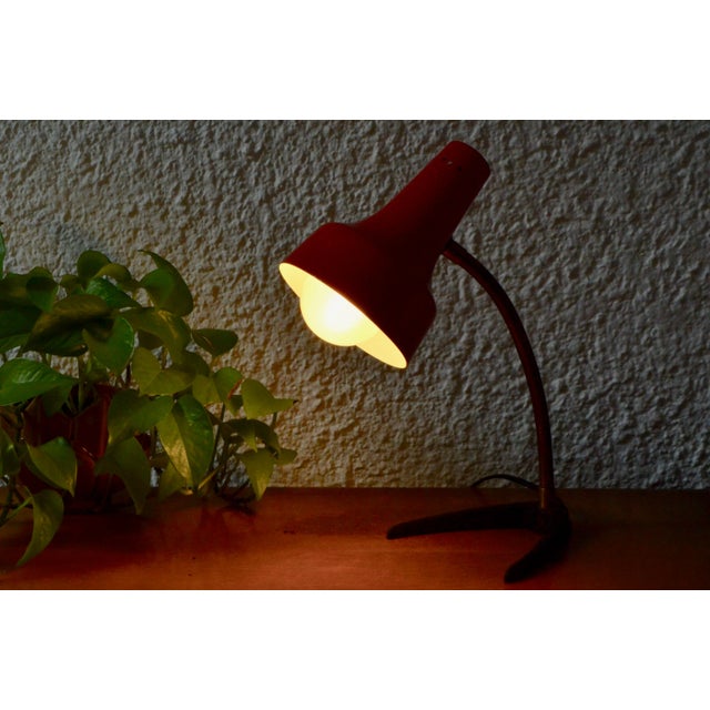 Mid-Century Modern Mid-Century Table Lamp, 1950s For Sale - Image 3 of 10