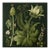 Dark Green Antique Botanical Garden Study No. 11 - Natural History Fine Art Print For Sale