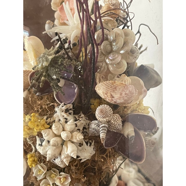 Coastal Antique Sea Shell Floral Bouquet Arrangement With Immortella in Dome For Sale - Image 3 of 5